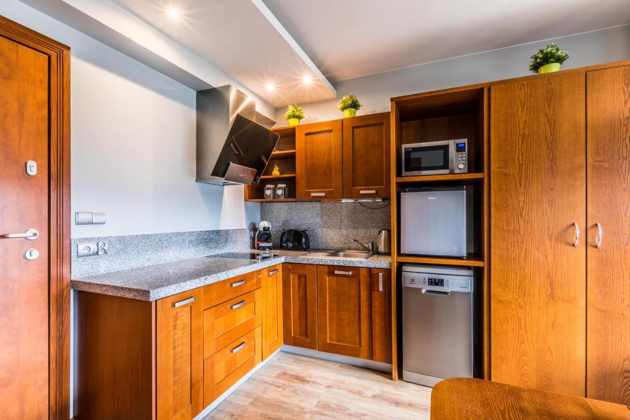 Apartament Srebrzysty Tatary Zakopane Zewnętrze zdjęcie