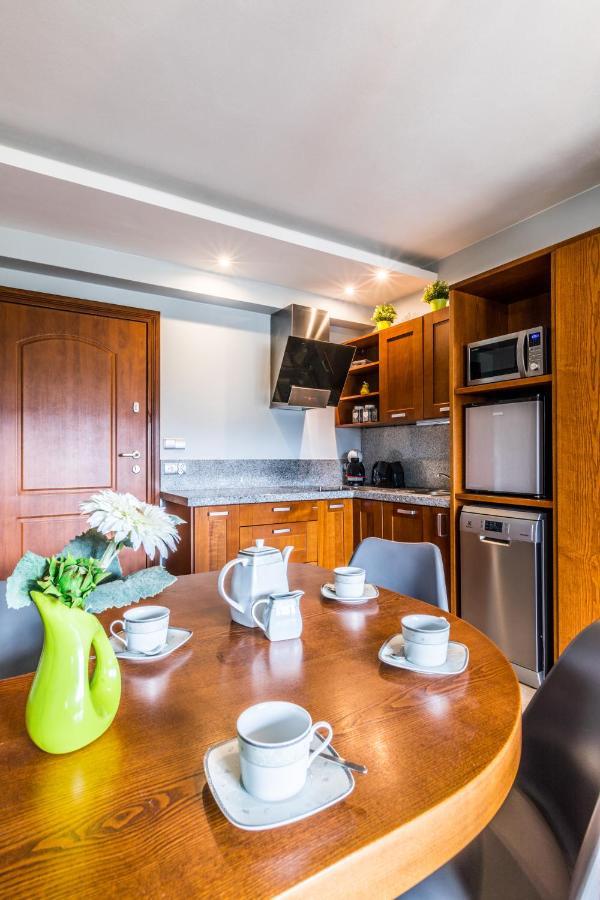 Apartament Srebrzysty Tatary Zakopane Zewnętrze zdjęcie